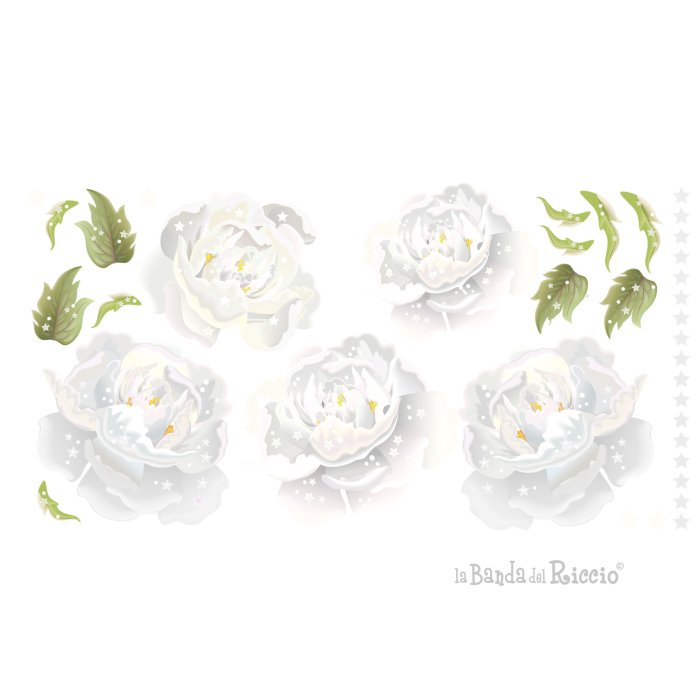 Peonie Bianche