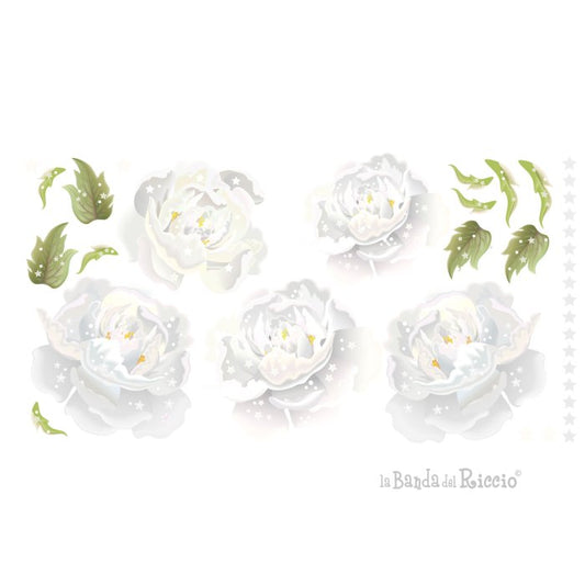 Peonie Bianche