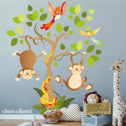 Albero Safari
