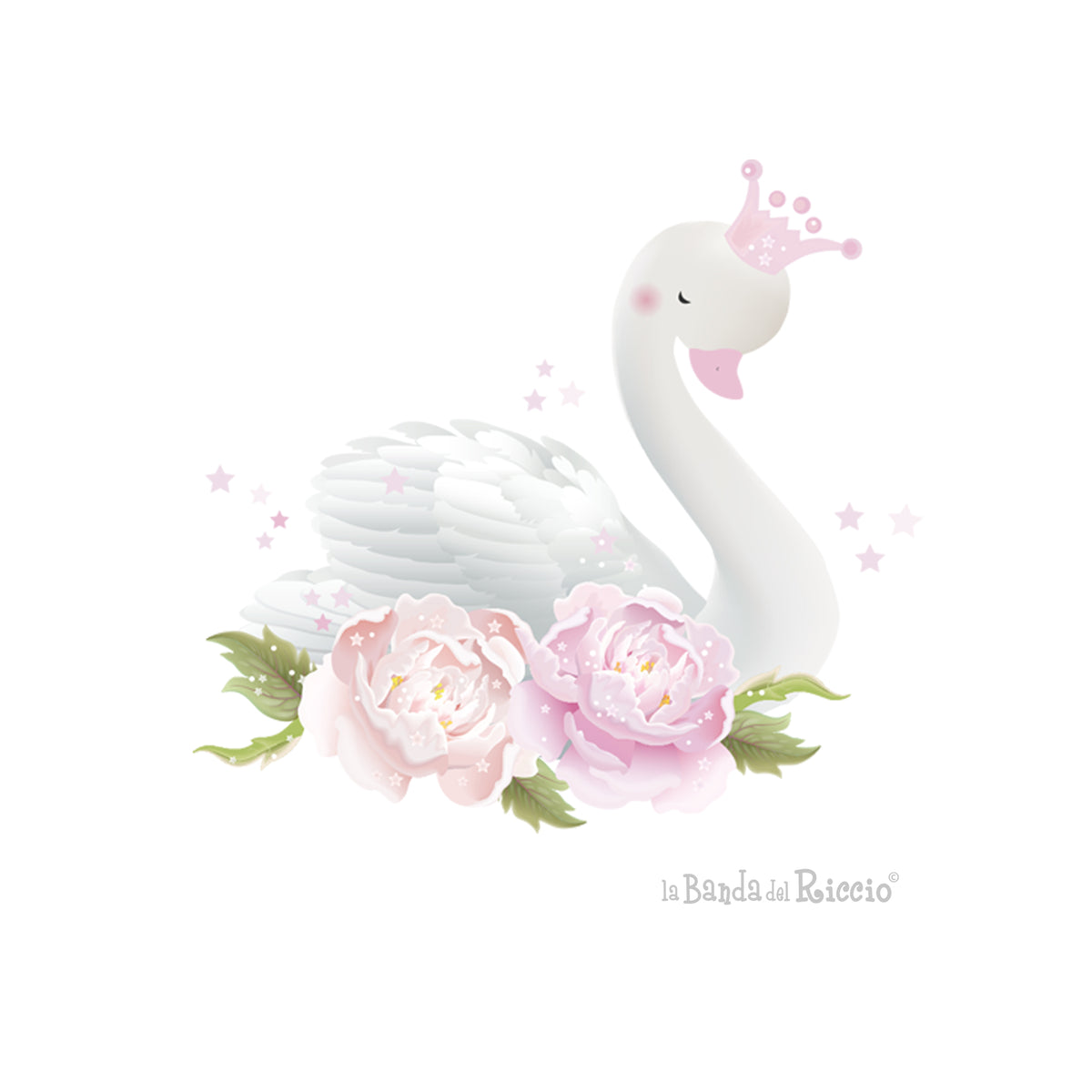 Il Cigno