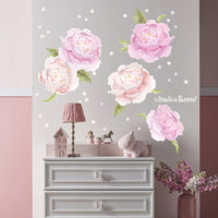 Peonie Rosa