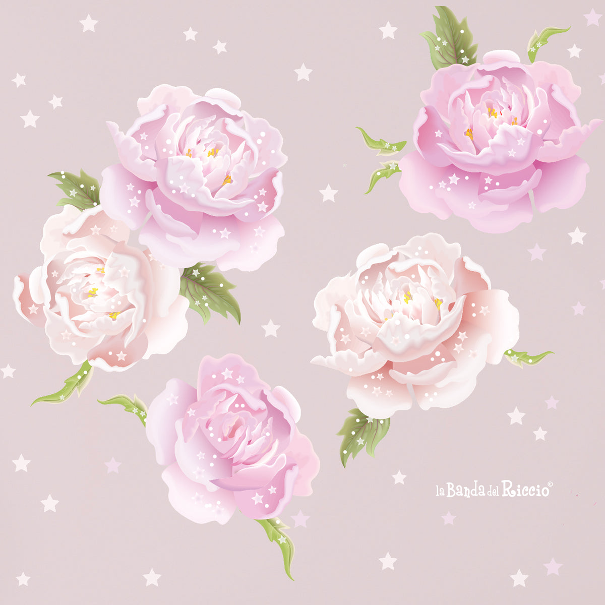 Peonie Rosa