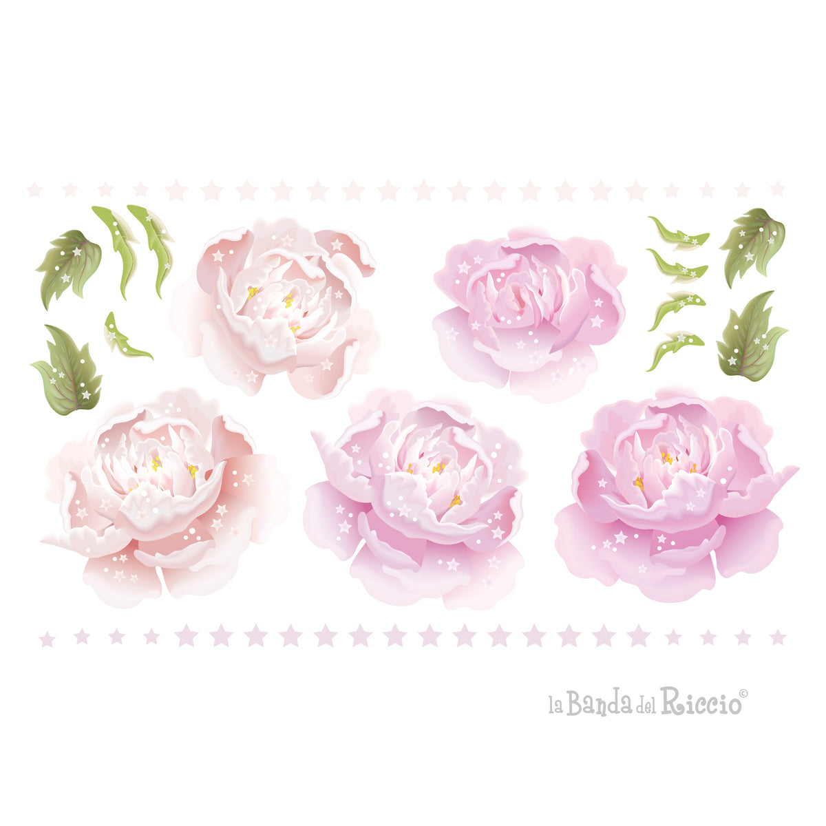 Peonie Rosa