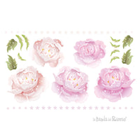 Peonie Rosa